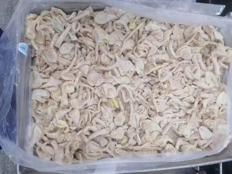 鸡嗉皮