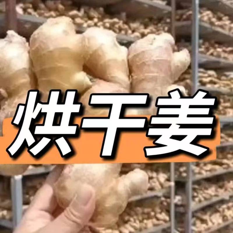 主营（水洗姜，风干姜）出口/市场批发/姜厂直供