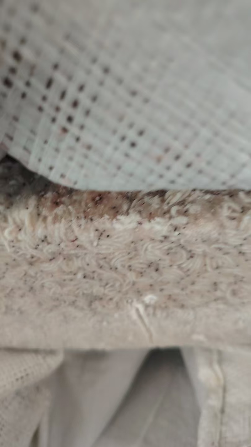 山东威海石岛船冻灯光虾食品级