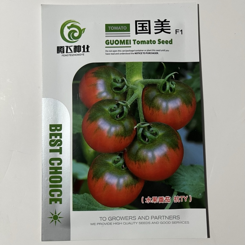 国美水果番茄种子绿肩番茄品种种子酸甜口感杂交品种，