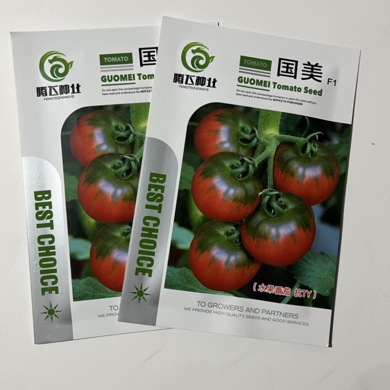 国美水果番茄种子绿肩番茄品种种子酸甜口感杂交品种，