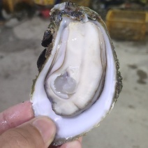 需要的联系品质保证