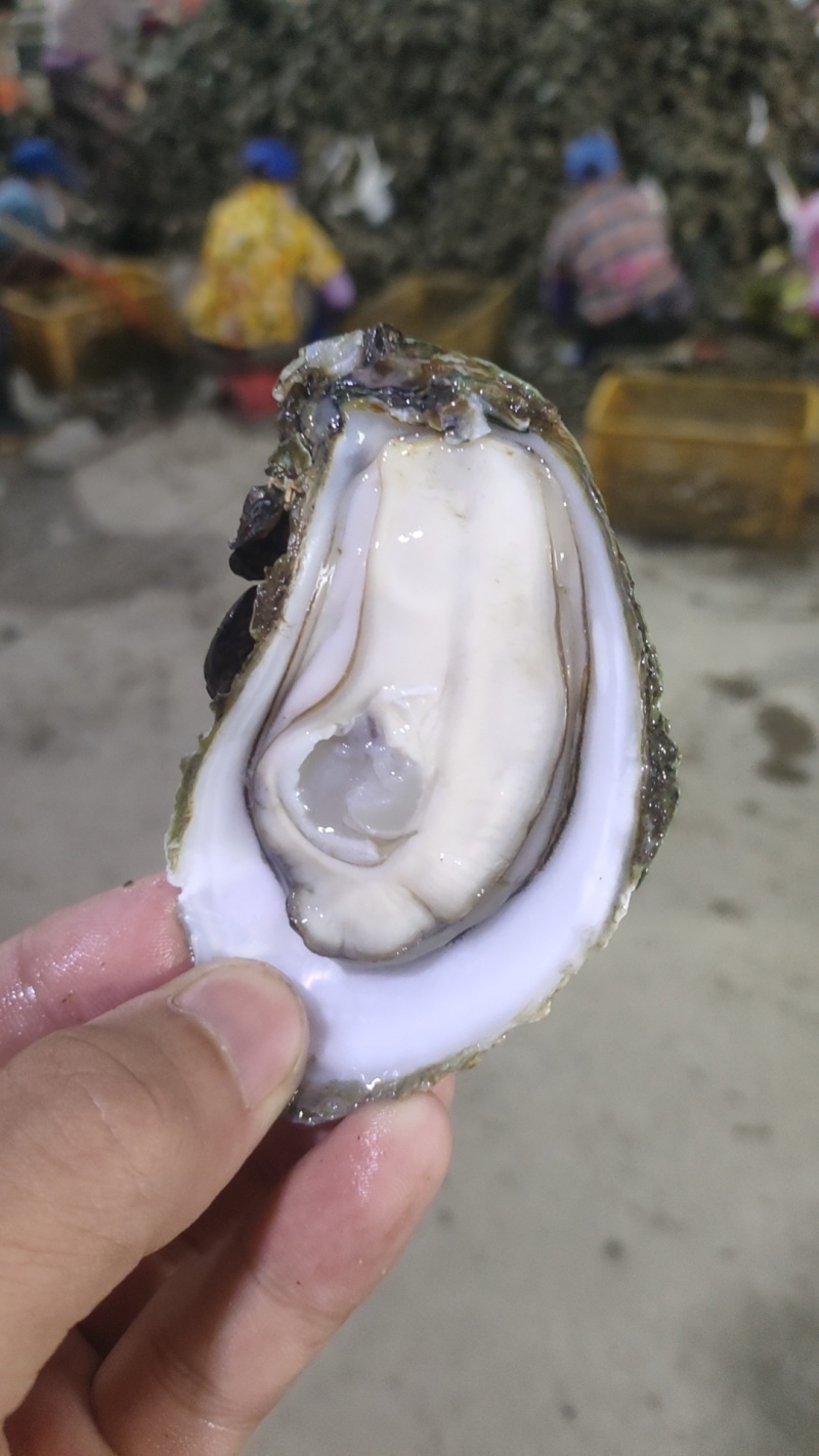 需要的联系品质保证