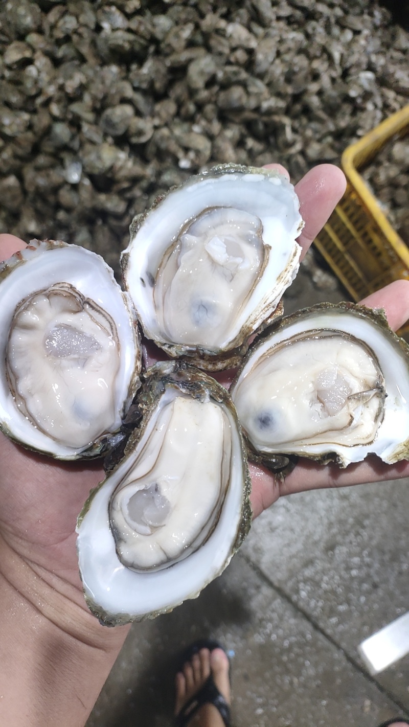需要的联系品质保证