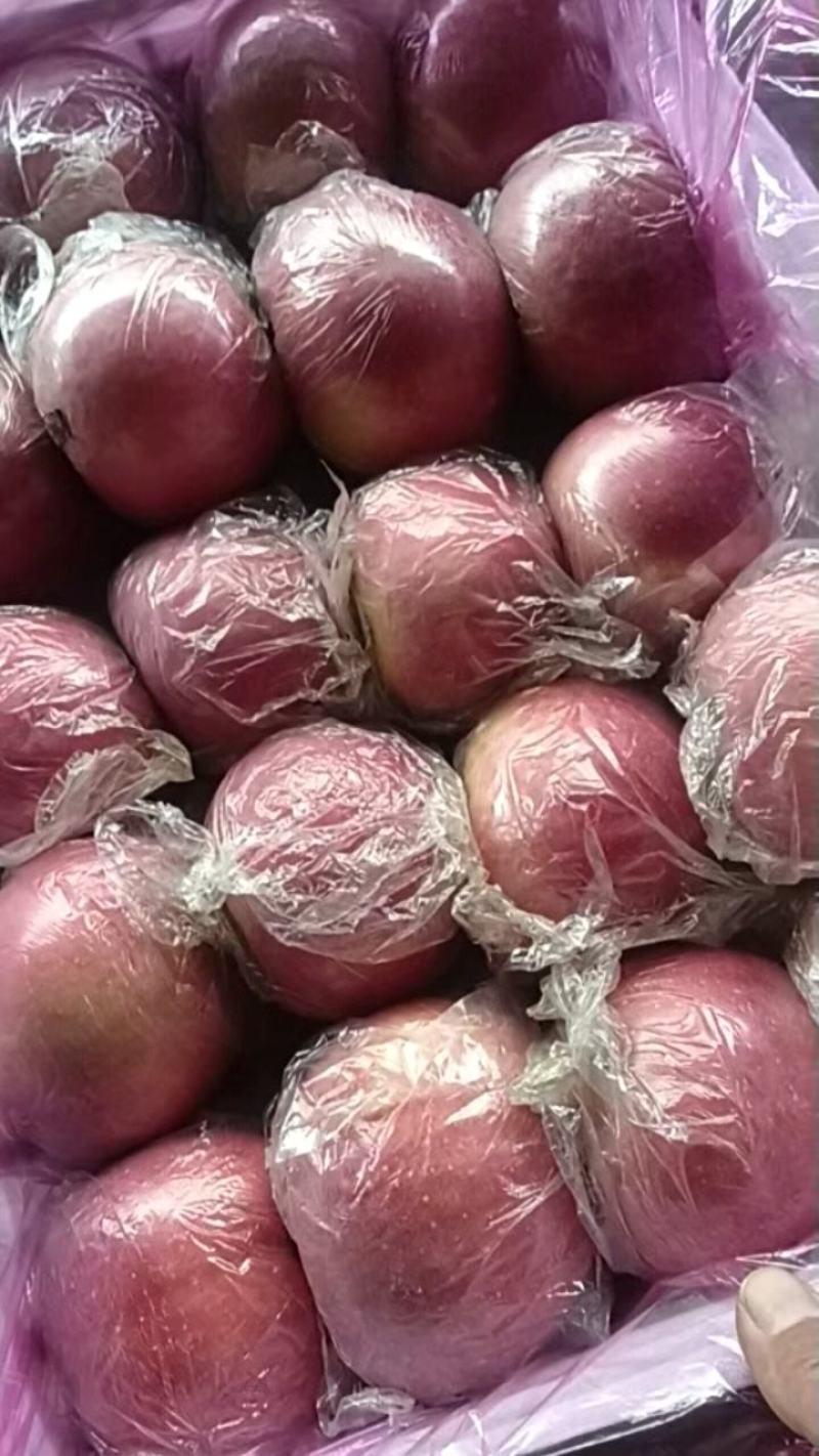 苹果脆甜多汁品质保证诚信经营来电洽谈价更优惠