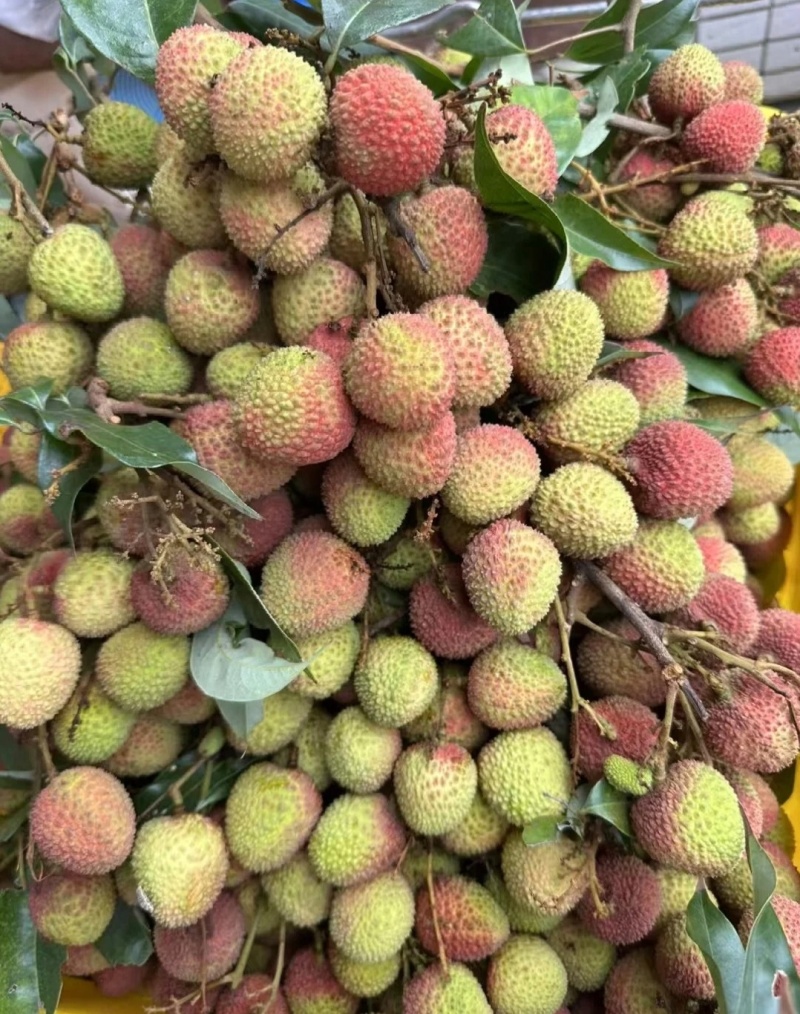 推荐荔枝妃子笑荔枝基地一手货源货源充足供全国商超
