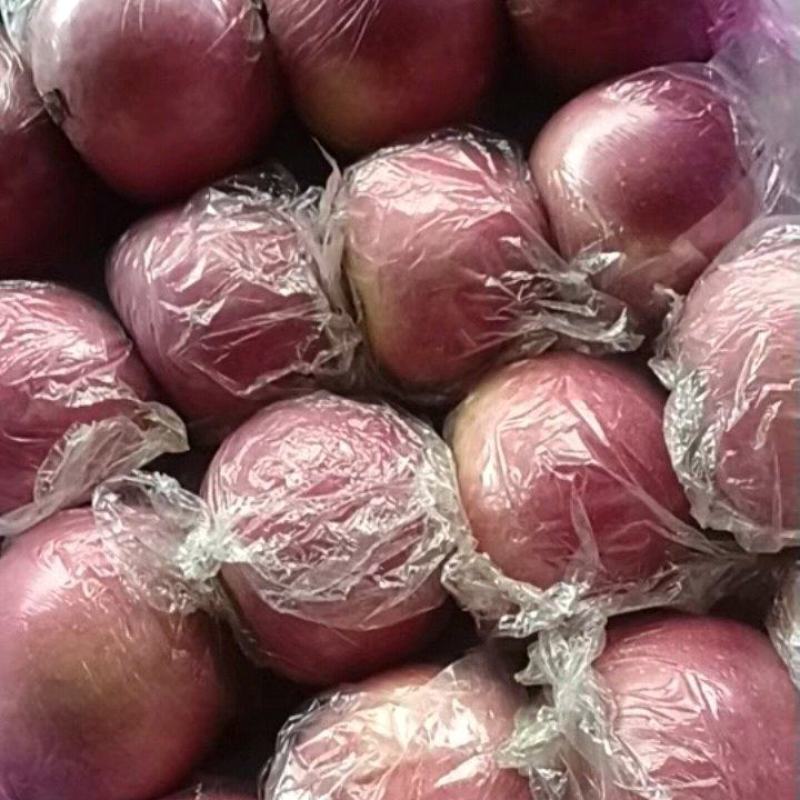 红富士大量供应一手货源价格优惠品质保证欢迎来电谈