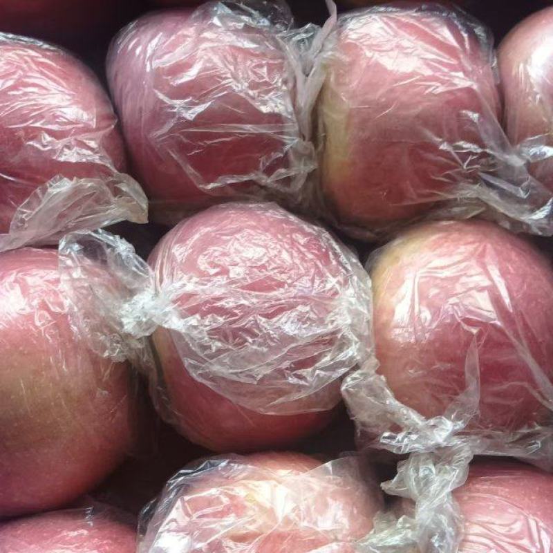 红富士大量供应一手货源价格优惠品质保证欢迎来电谈