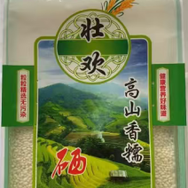 广西高山香糯米厂家直发量大价优一手货源货真价实