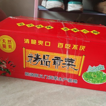正宗安徽涡阳特产贡菜
