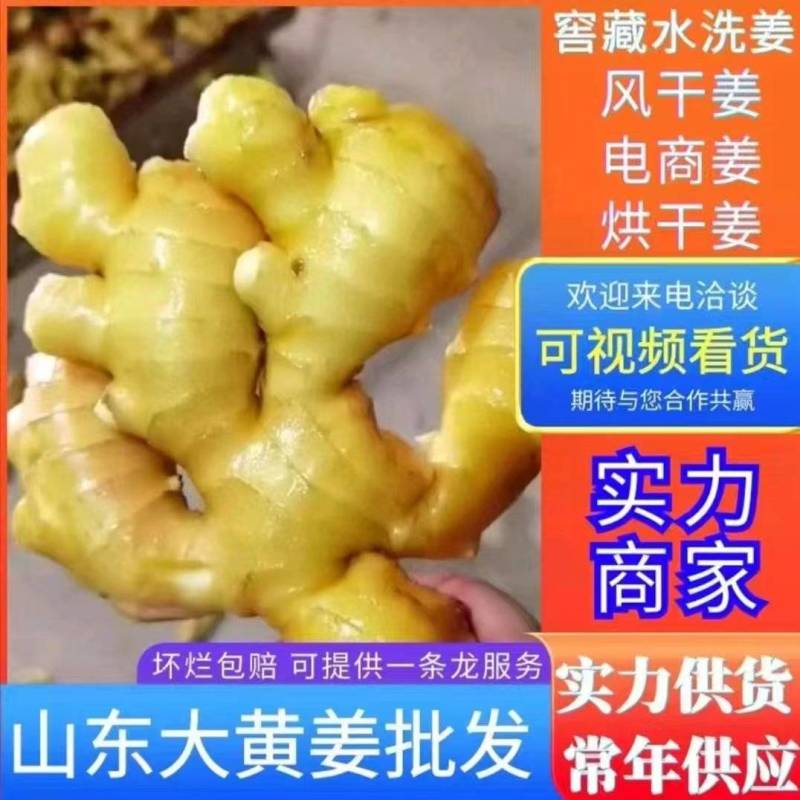 主营（水洗姜，风干姜）出口迪拜，市场批发