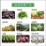 20%联苯噻虫胺蚜虫茶小叶蝉飞虱黄条跳甲大田作物通用