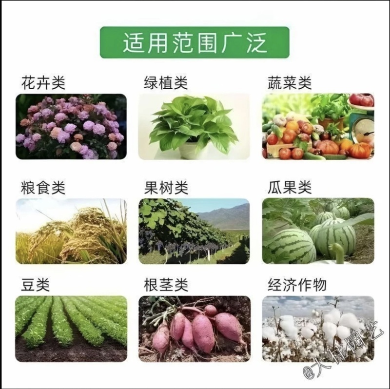 20%联苯噻虫胺蚜虫茶小叶蝉飞虱黄条跳甲大田作物通用