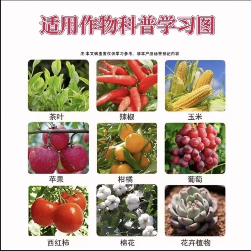 20%联苯噻虫胺蚜虫茶小叶蝉飞虱黄条跳甲大田作物通用