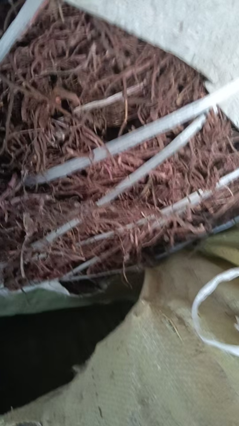 莤草通货