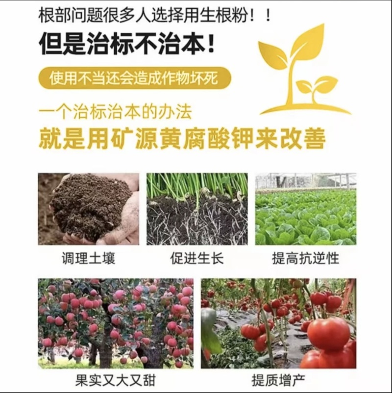全水溶矿源黄腐酸钾生根壮苗改良土壤松土1000克一袋