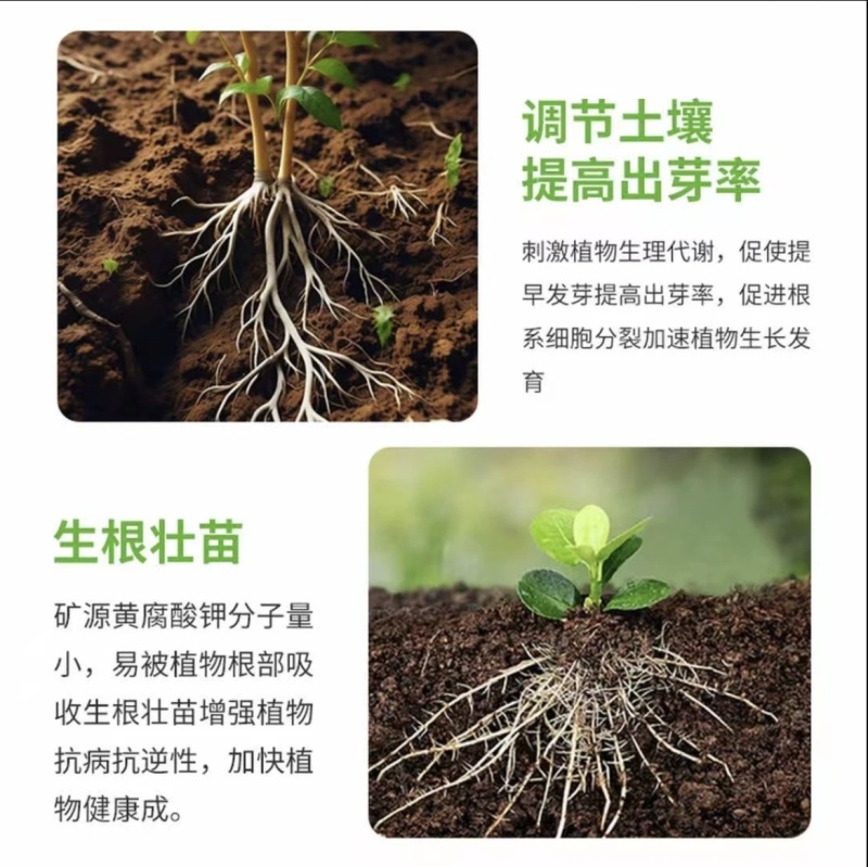 全水溶矿源黄腐酸钾生根壮苗改良土壤松土1000克一袋