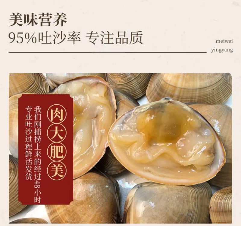 丹东特产大黄蚬子白蚬子团购市场直播一件发