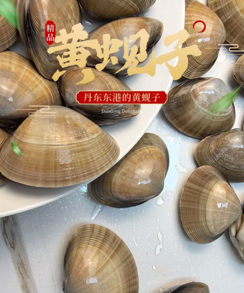 丹东特产大黄蚬子白蚬子团购市场直播一件发