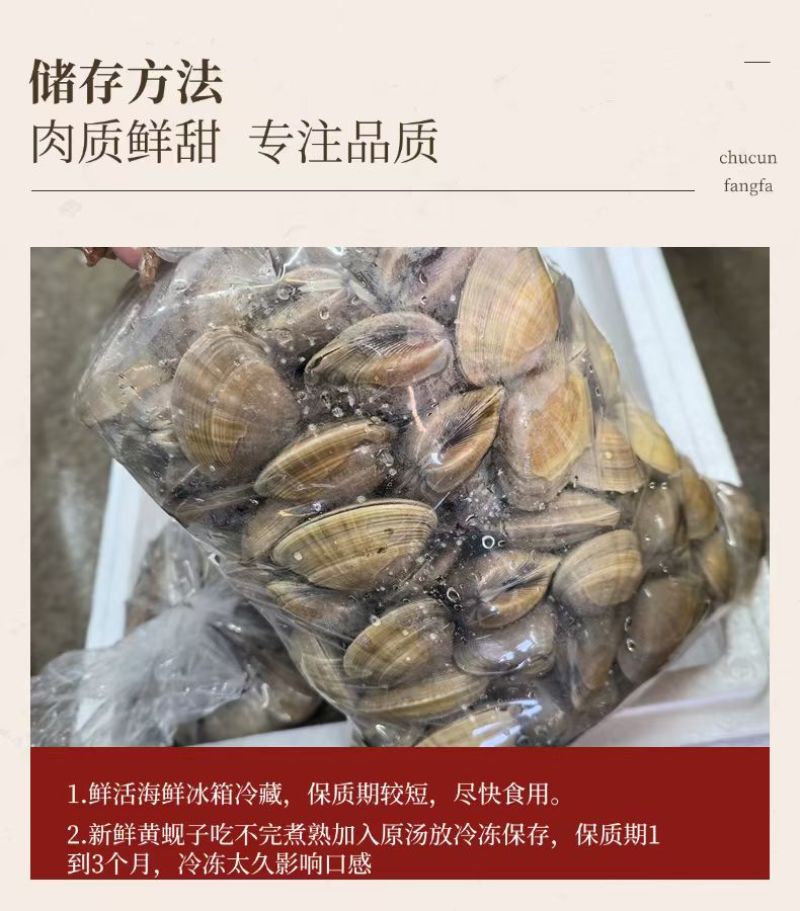 丹东特产大黄蚬子白蚬子团购市场直播一件发