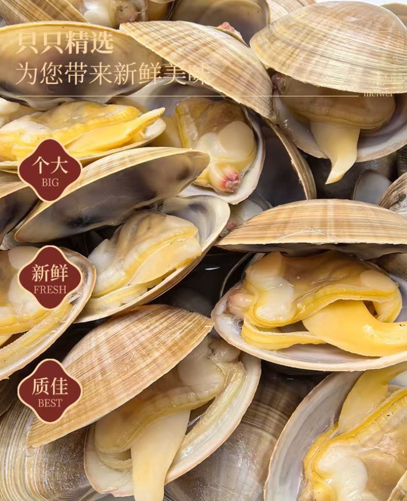 丹东特产大黄蚬子白蚬子团购市场直播一件发