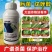 30%肟菌戊唑醇悬浮剂小麦水稻赤霉病稻瘟病