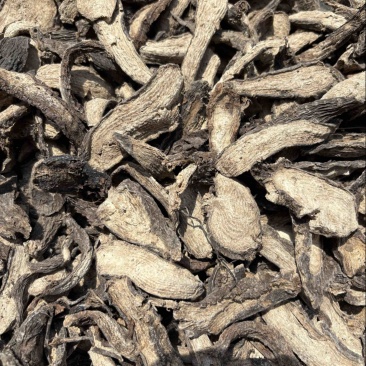 紫茉莉根入地老鼠钻地老鼠胭脂花根