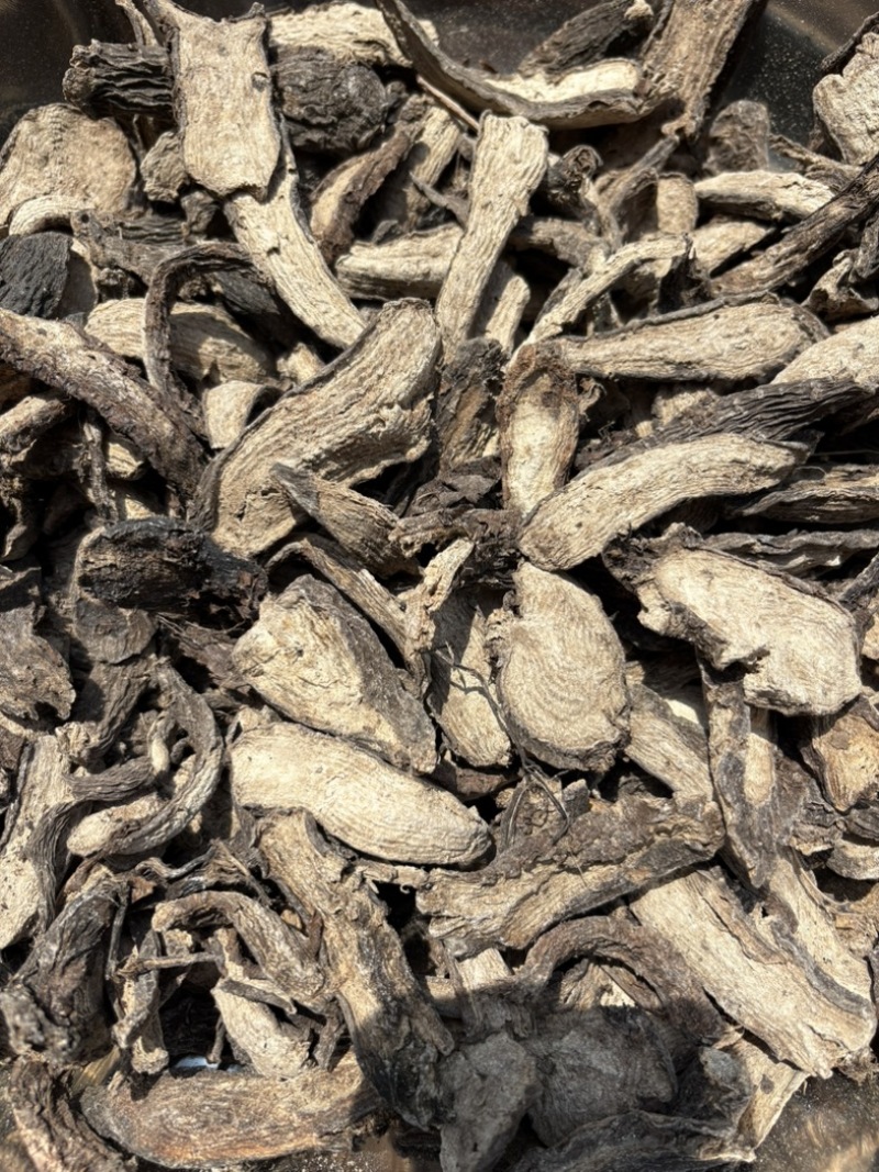 紫茉莉根入地老鼠钻地老鼠胭脂花根