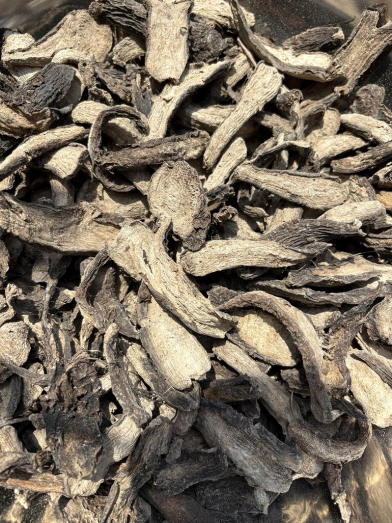 紫茉莉根入地老鼠钻地老鼠胭脂花根