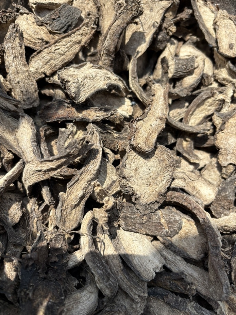 紫茉莉根入地老鼠钻地老鼠胭脂花根