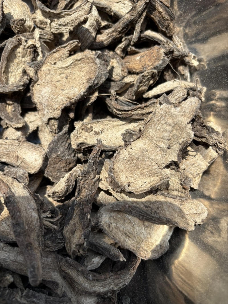 紫茉莉根入地老鼠钻地老鼠胭脂花根
