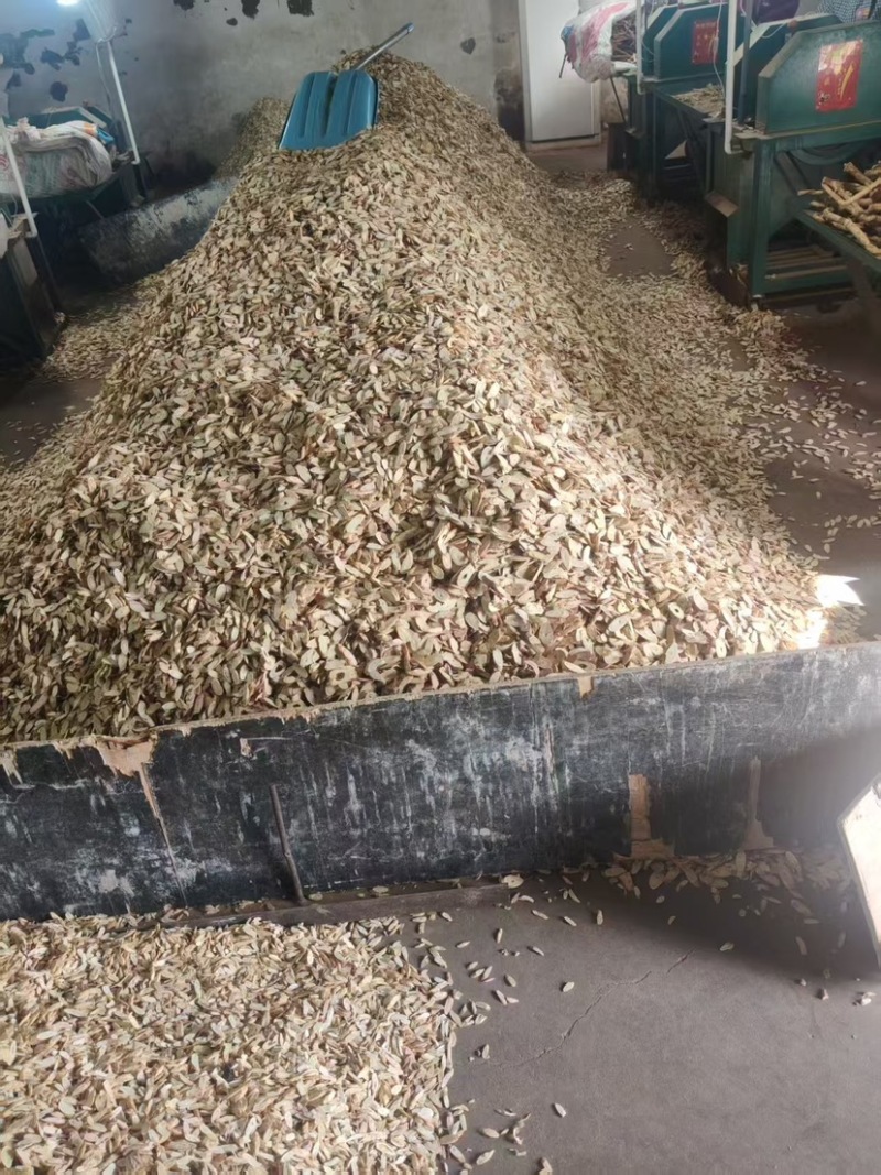 黄芪片批发大片中片小片价格有优势可以谈价黄芪条黄芪片大片