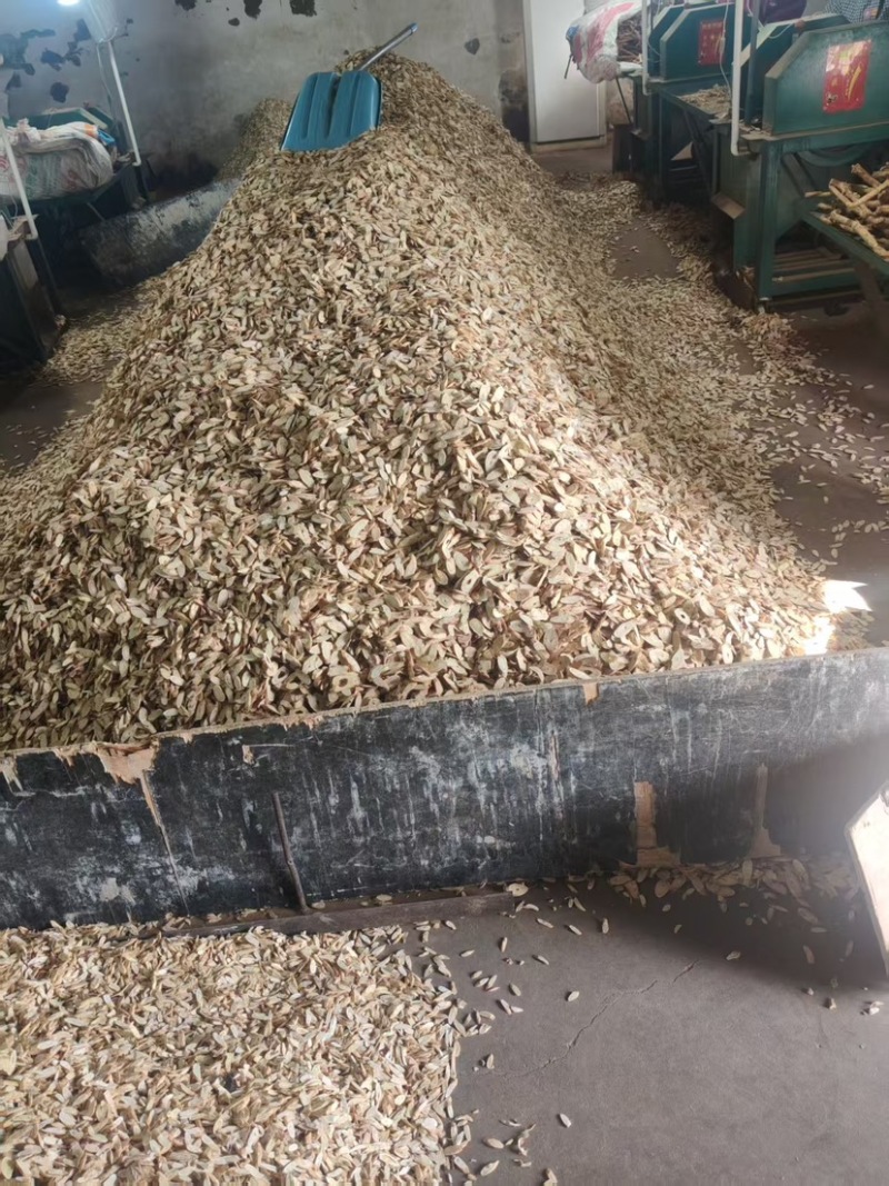 黄芪片批发大片中片小片价格有优势可以谈价黄芪条黄芪片大片