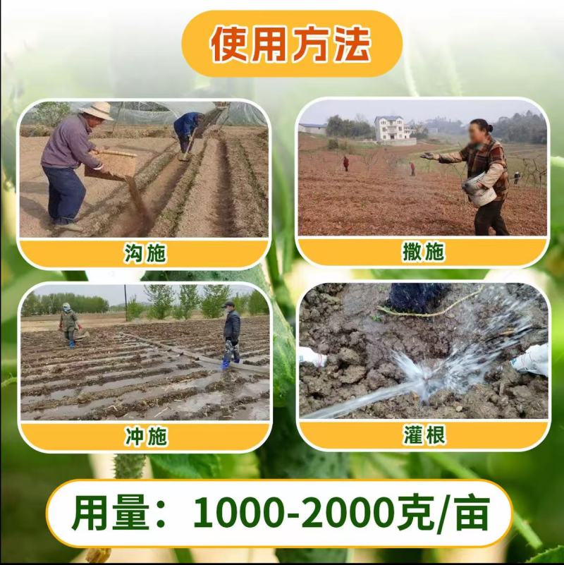5%阿维菌素噻唑膦黄瓜根结线虫内吸传导治疗颗粒撒施冲施