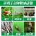 15%高含量四聚乙醛蜗牛药鼻涕牛软体颗粒撒施