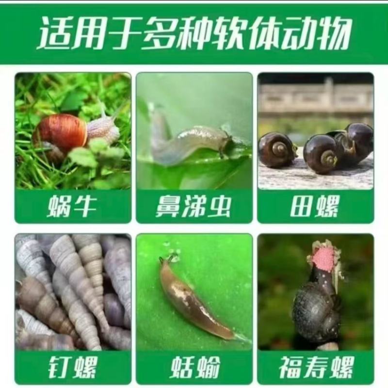 15%高含量四聚乙醛蜗牛药鼻涕牛软体颗粒撒施