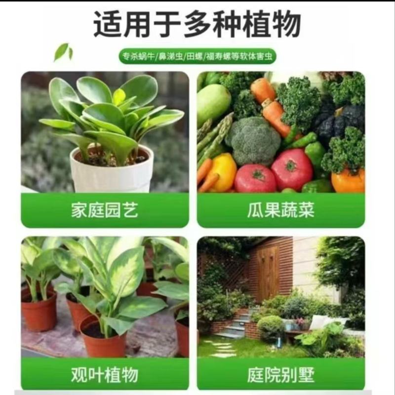 15%高含量四聚乙醛蜗牛药鼻涕牛软体颗粒撒施