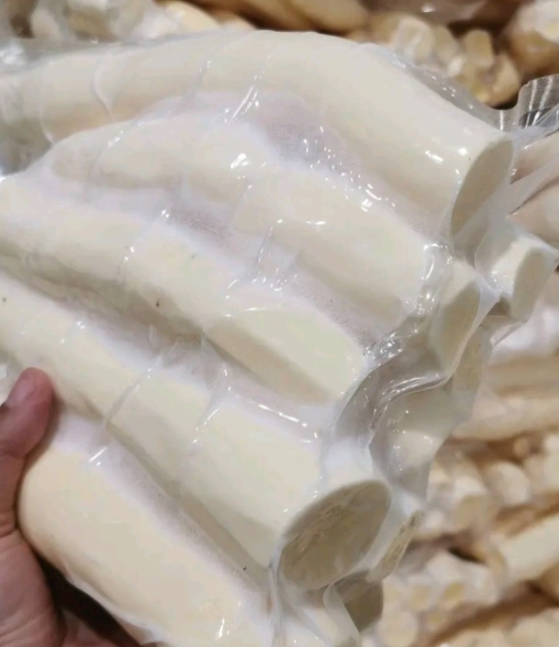 大量供应广西黄心木薯黄肉木薯鸡蛋木薯华南9号木薯冰冻白条