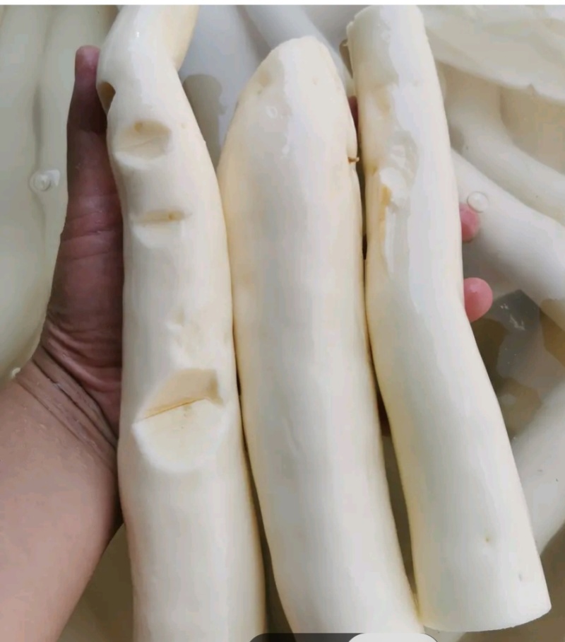 大量供应广西黄心木薯黄肉木薯鸡蛋木薯华南9号木薯冰冻白条