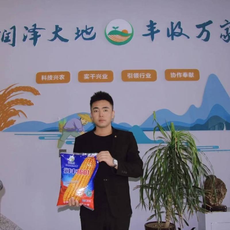 润丰香米