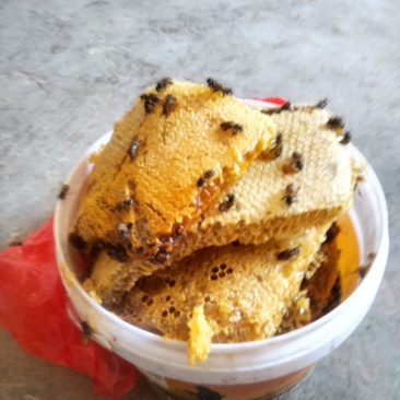 天然野生蜂蜜