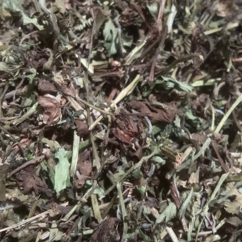 老鹳草，中药材老鹳草药厂货，饮片货，过筛货