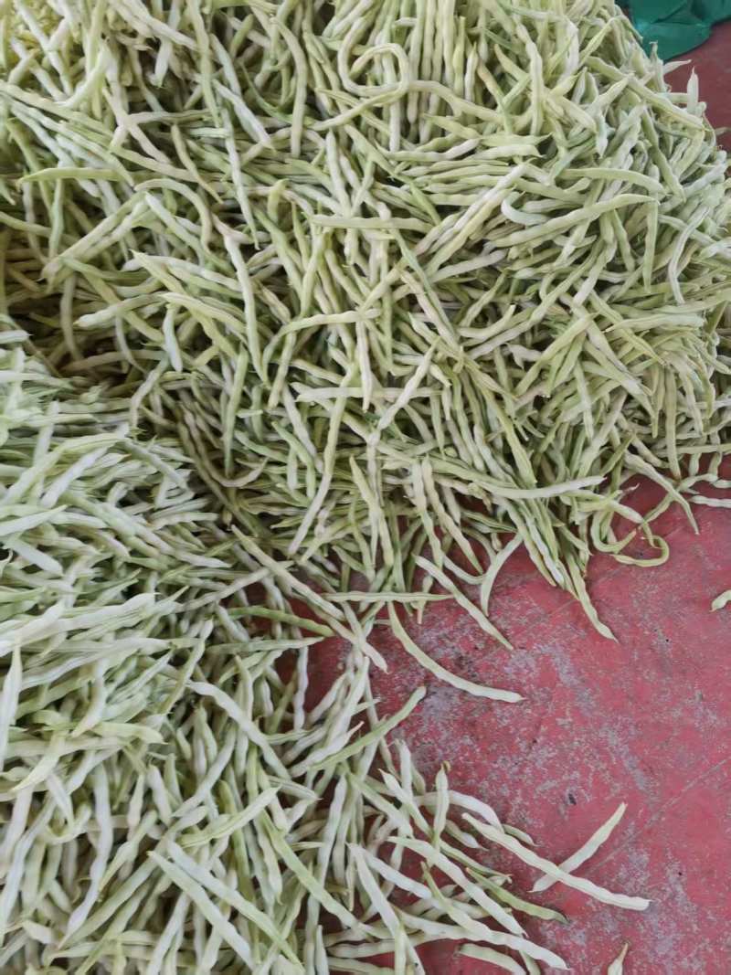白不老芸豆，量大从优，产地直发，可以视频看货，欢迎老板前