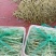 白不老芸豆，量大从优，产地直发，可以视频看货，欢迎老板前
