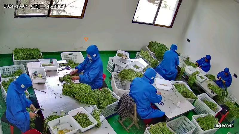 精品贡菜，苔干，产地货源，自然凉晒，欢迎下单，量大从优。