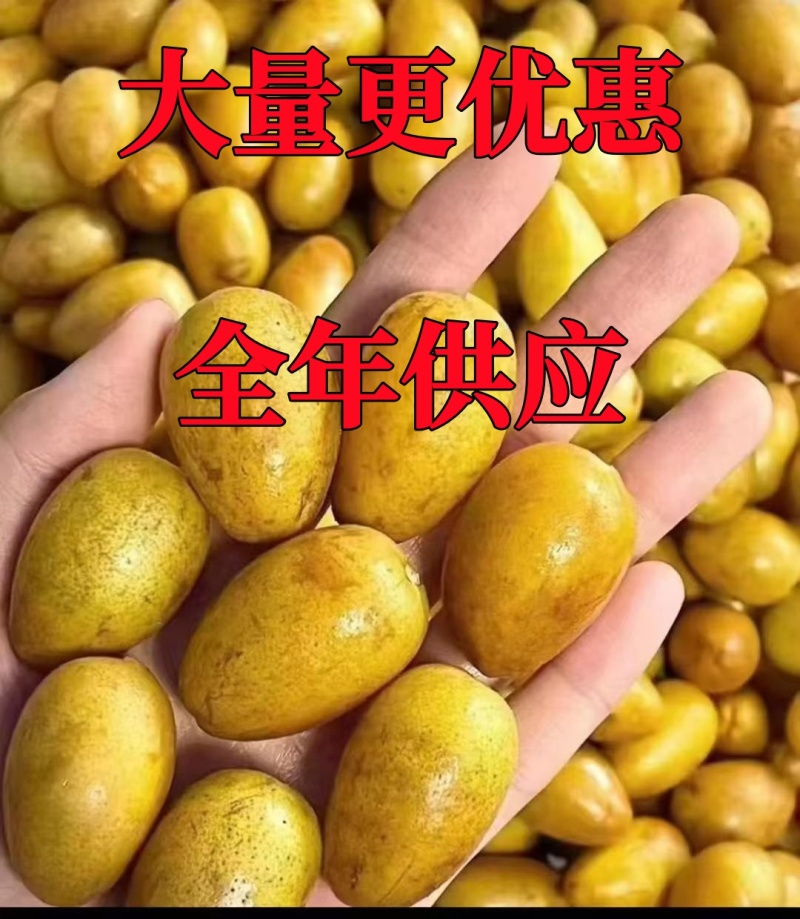 冰鲜黄皮，茂名市高州冰鲜黄皮批发，全年供应，奶茶原料。