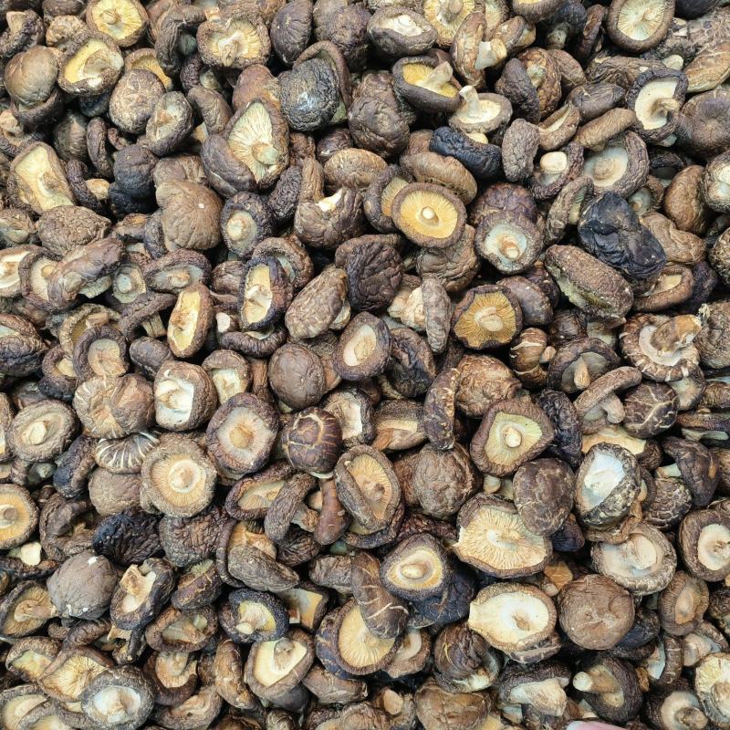 严选干香菇无根肉厚小香菇冬菇干货煲汤菌菇