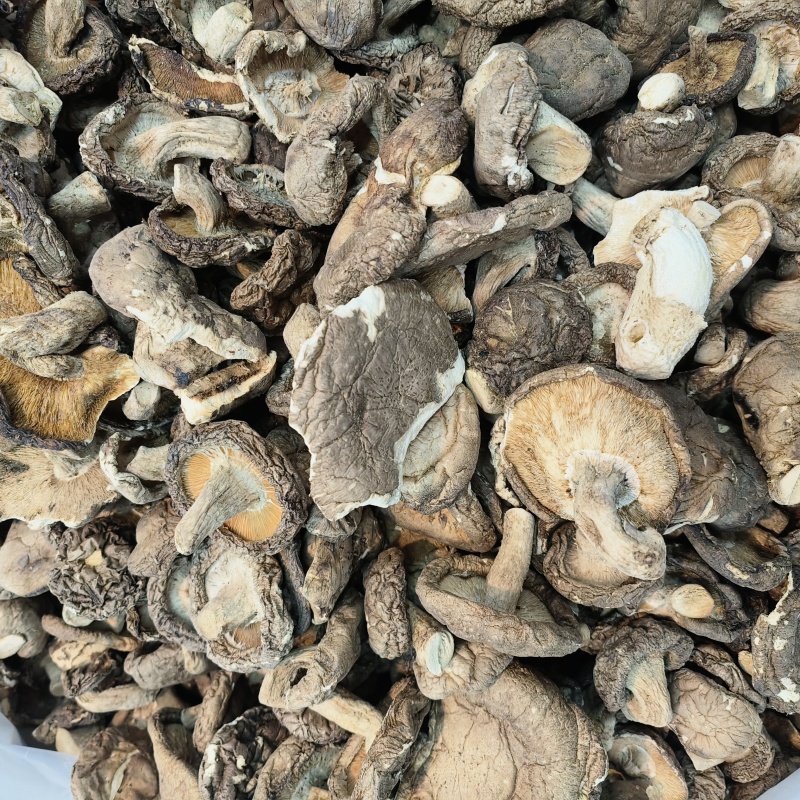 严选干香菇无根肉厚小香菇冬菇干货煲汤菌菇