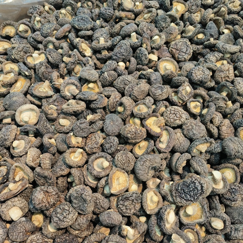 严选干香菇无根肉厚小香菇冬菇干货煲汤菌菇