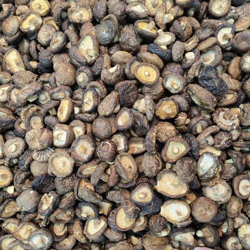 严选干香菇无根肉厚小香菇冬菇干货煲汤菌菇